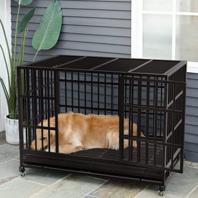 Experience Peace Of Mind Secure Your Pet With Our Kennel Solutions 2 1 400x400