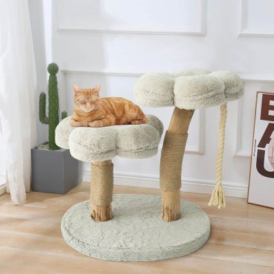 Keep Your Cat Active And Healthy Exercise Focused Cat Tees For Playful Pets 4 400x400