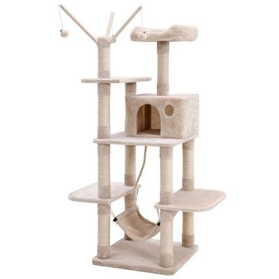 Keep Your Cat Active And Healthy Exercise Focused Cat Tees For Playful Pets 7 400x400