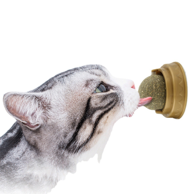 Upgrade Your Cats Playtime Innovative Toys For Modern Felines 1 400x400