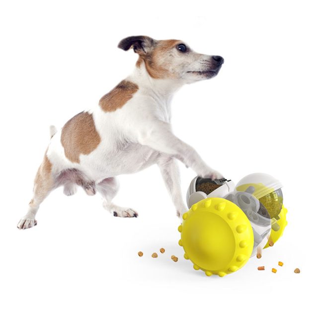 Best interactive dog toys enhance bonding and play (5) Best interactive dog toys enhance bonding and play (5)