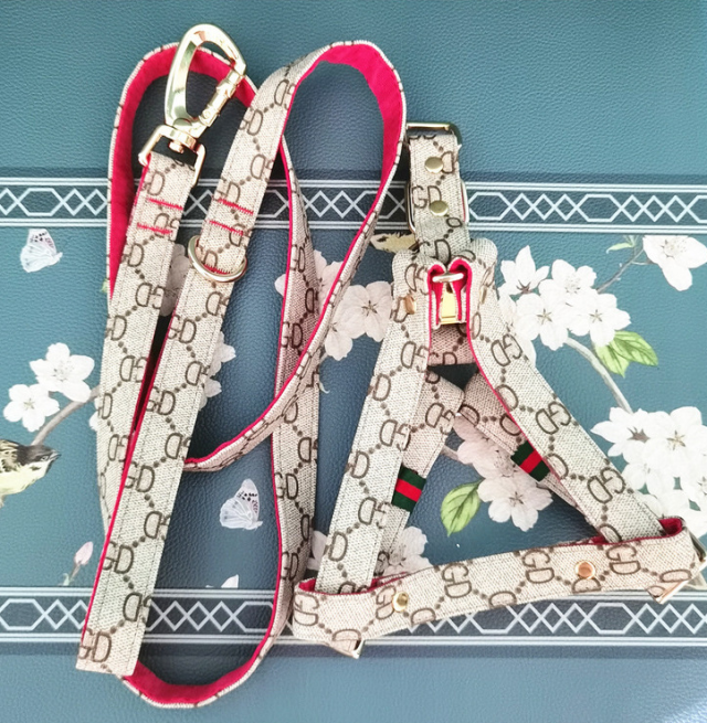 Breaking down different types of pet collars find the perfect fit for your pal (3)