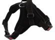 Breaking down different types of pet harnesses find the perfect fit for your pet (5)