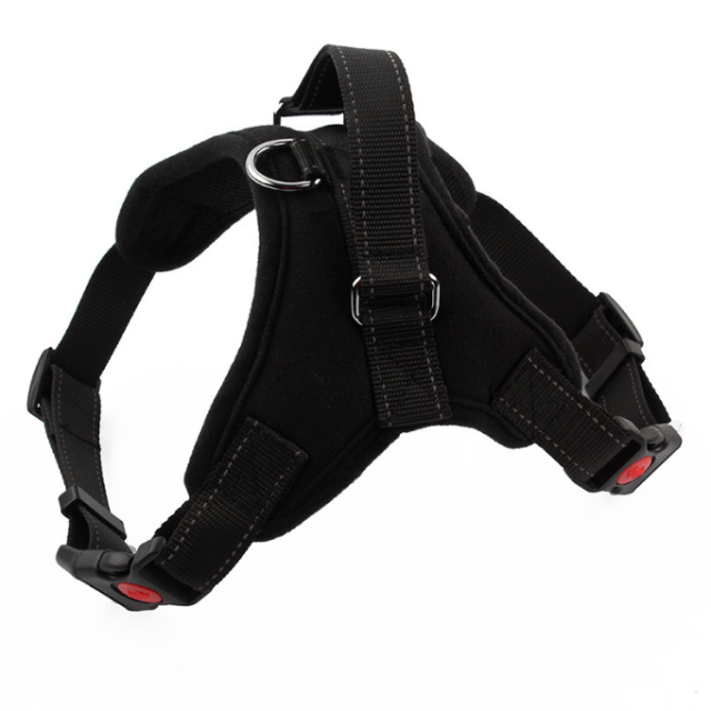 Breaking down different types of pet harnesses find the perfect fit for your pet (5) Breaking down different types of pet harnesses find the perfect fit for your pet (5)