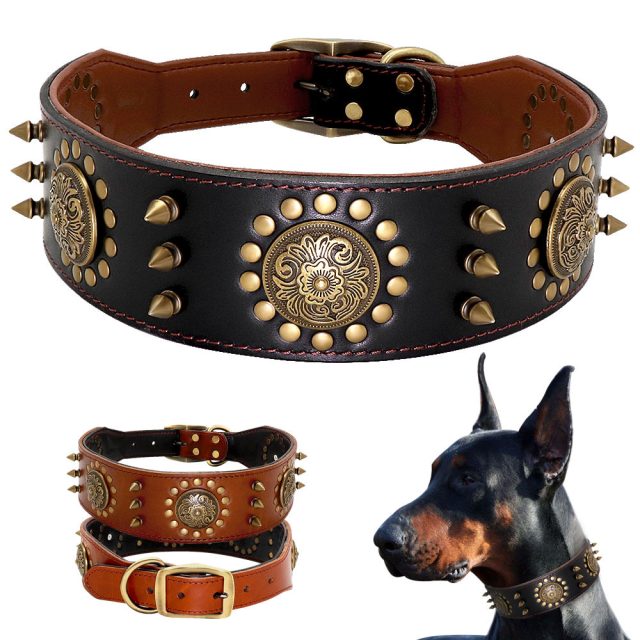 Budget-friendly pet collars without compromising quality (5)