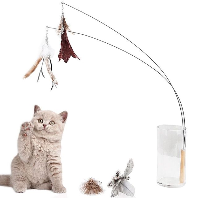 Cat toys everything you need to know before you bu (4) Cat toys everything you need to know before you bu (4)