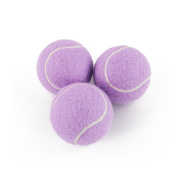 Chew resistant dog toys long-lasting entertainment (5)