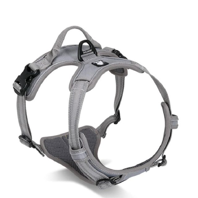 Collar choosing the right gear for your pet’s needs (5) Collar choosing the right gear for your pet's needs (5)