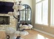 Create a haven for your feline friend elevate their space with our cat trees (2)