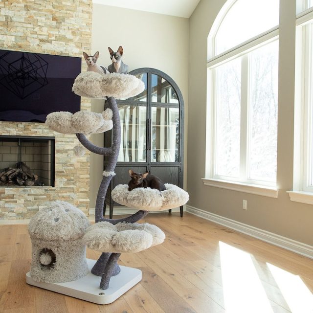 Create a haven for your feline friend elevate their space with our cat trees (7) Create a haven for your feline friend elevate their space with our cat trees (7)