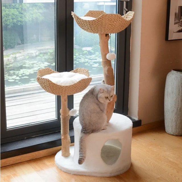 Customize your cat's playground modular cat trees for endless configurations (3)