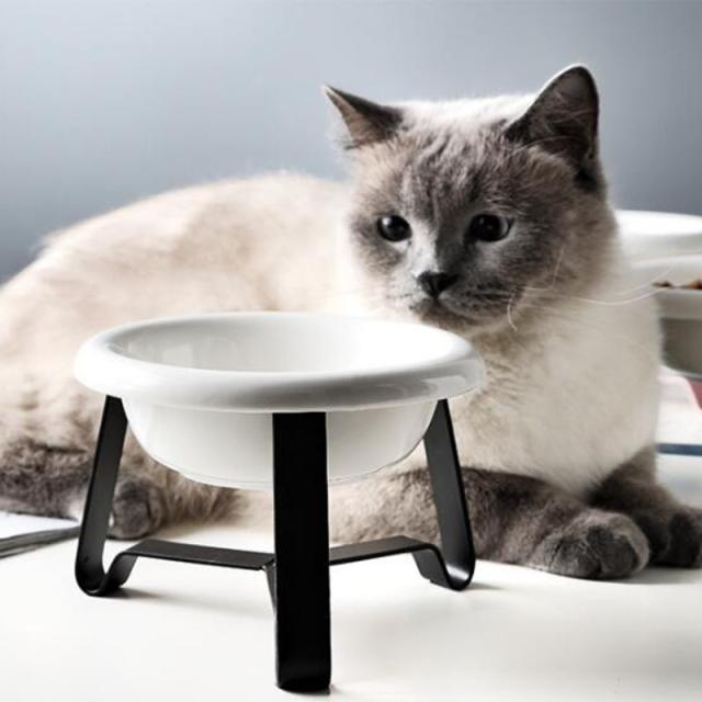 Customize your pet’s meals programmable pet feeders for tailored nutrition (1) Customize your pet's meals programmable pet feeders for tailored nutrition (1)