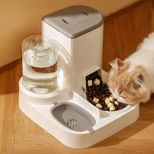 Customize your pet’s meals programmable pet feeders for tailored nutrition (3) Customize your pet's meals programmable pet feeders for tailored nutrition (3)
