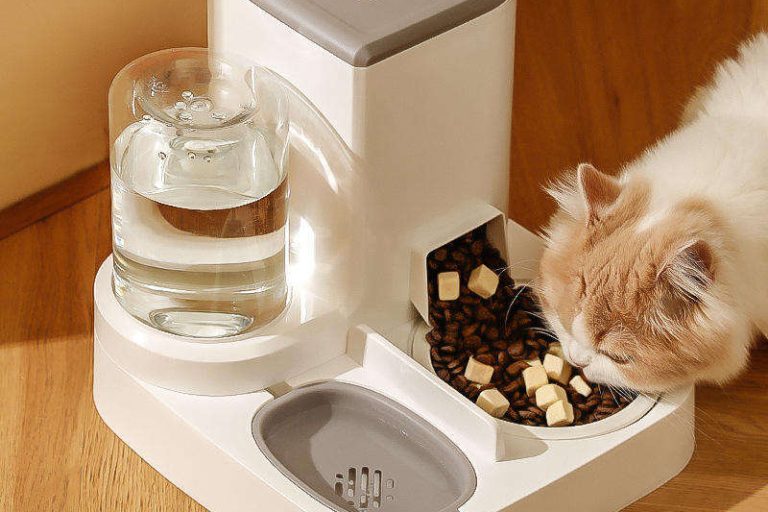 Customize your pet's meals programmable pet feeders for tailored nutrition (3)