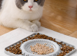 Customize your pet's meals programmable pet feeders for tailored nutrition (6)