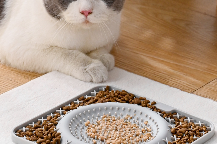 Customize your pet's meals programmable pet feeders for tailored nutrition (6)