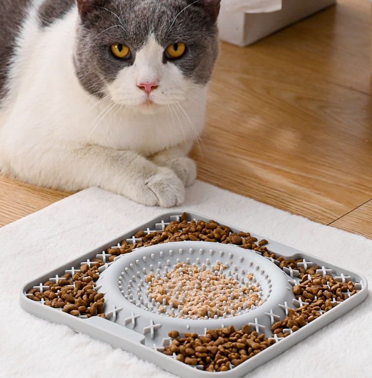 Customize your pet’s meals programmable pet feeders for tailored nutrition (6) Customize your pet's meals programmable pet feeders for tailored nutrition (6)