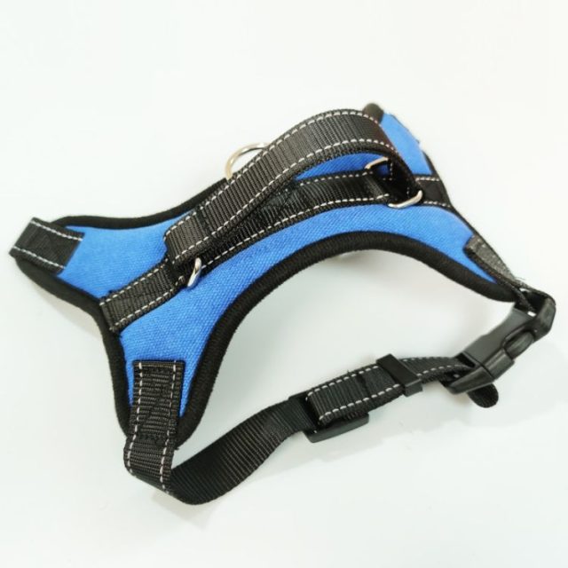 DIY pet harness accessories customize your pet’s look (4) DIY pet harness accessories customize your pet's look (4)