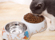 Discover the latest trends in pet feeder design and technology (1)