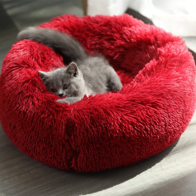 Discover the perfect pet bed cozy and stylish options for every pet (2) Discover the perfect pet bed cozy and stylish options for every pet (2)