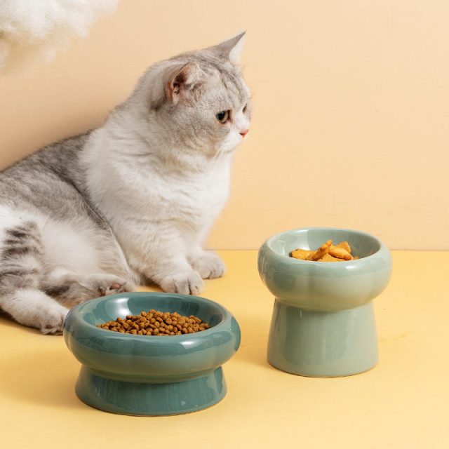 Discover the perfect pet feeder convenient and reliable options for every pet (4) Discover the perfect pet feeder convenient and reliable options for every pet (4)