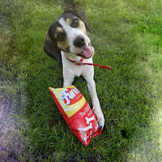 Dog chew toy bones safe and satisfying for your pup (2) Dog chew toy bones safe and satisfying for your pup (2)