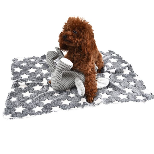 Dog frisbees soar into fun with your canine companion (5) Dog frisbees soar into fun with your canine companion (5)