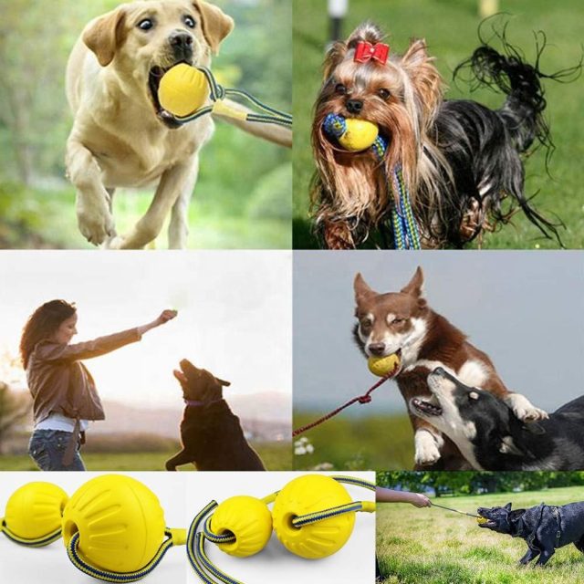 Dog rope toys tug-of-war fun for your pooch (5)