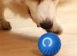 Dog toy subscription boxes surprise your pup monthly (5)