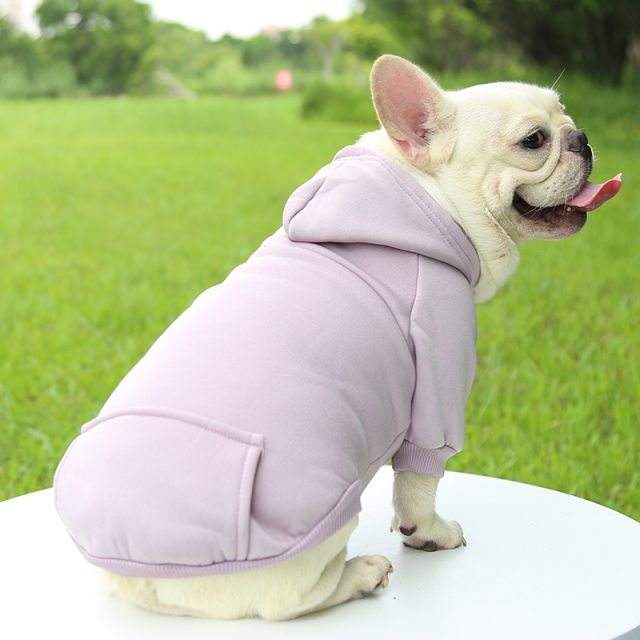 Dress to impress designer pet clothes for discerning owners (1) Dress to impress designer pet clothes for discerning owners (1)