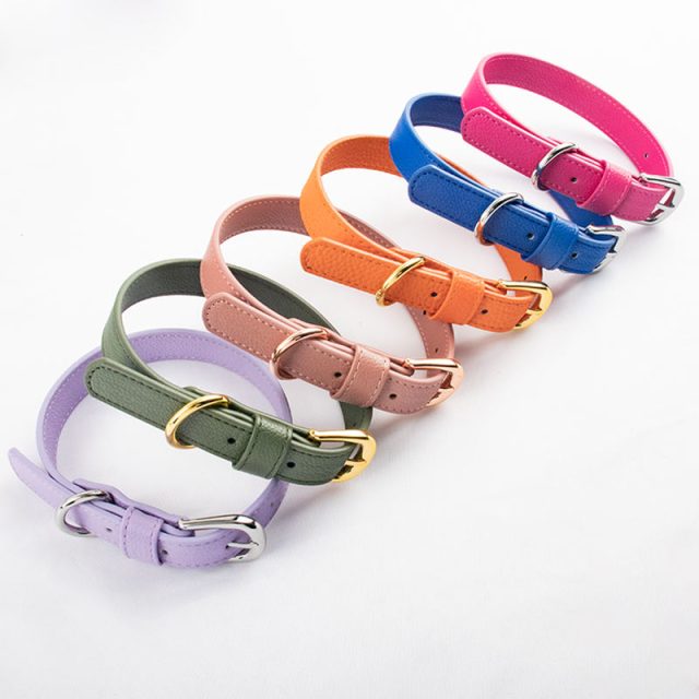 Eco-friendly pet collars sustainable style for your beloved companion (3)