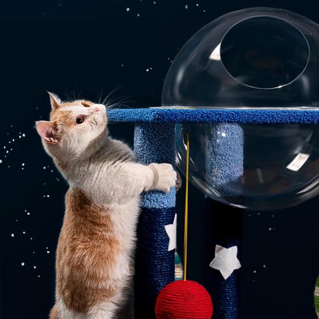 Educational toys for cats stimulate their mind while having fun (4) Educational toys for cats stimulate their mind while having fun (4)
