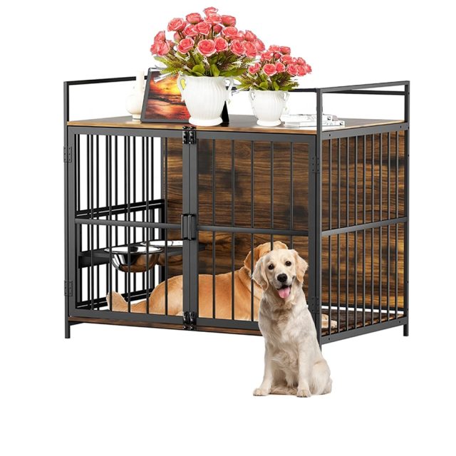 Elevate your pet’s lifestyle designer kennels for discerning owners (4) Elevate your pet's lifestyle designer kennels for discerning owners (4)