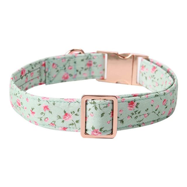 Enhance safety with led pet collars a ust-have for night walks (5)