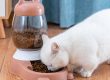 Ensure portion control precision pet feeders for healthy eating habits (6)
