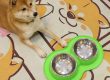 Experience hassle-free feeding easy-to-use pet feeders for every home (2)