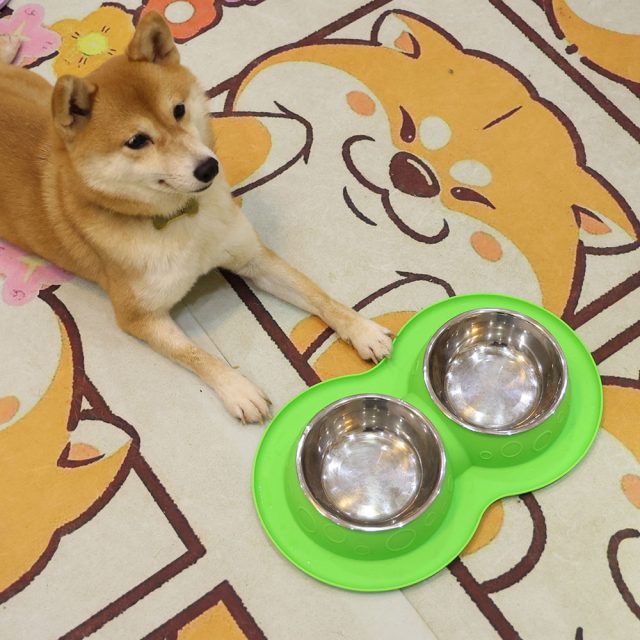 Experience hassle-free feeding easy-to-use pet feeders for every home (2) Experience hassle-free feeding easy-to-use pet feeders for every home (2)