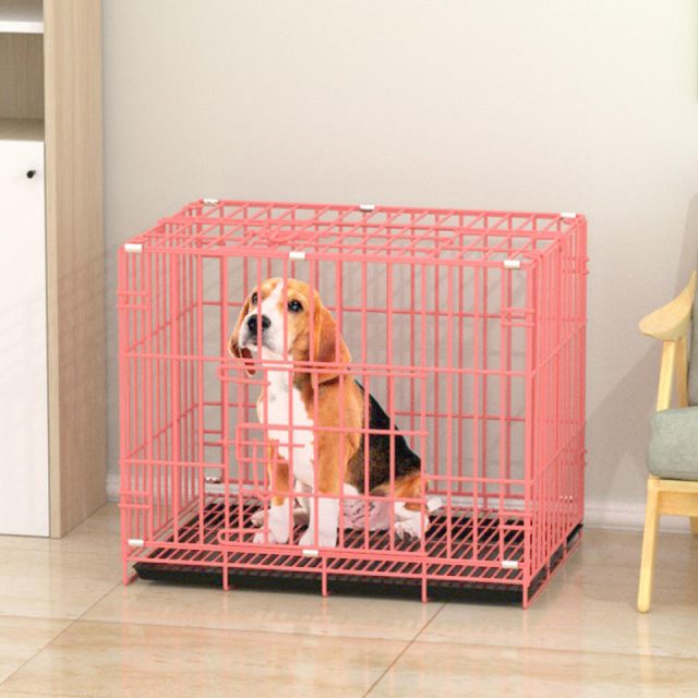 Experience peace of mind secure your pet with our kennel solutions (3) Experience peace of mind secure your pet with our kennel solutions (3)