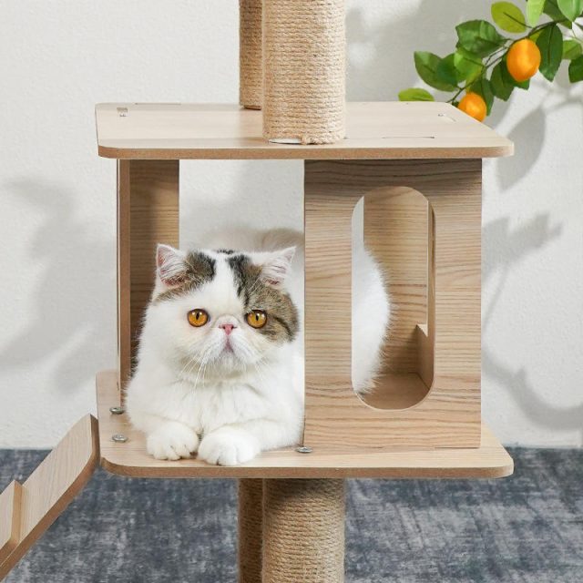 Experience ultimate comfort plush cat trees for lazy afternoons (2) Experience ultimate comfort plush cat trees for lazy afternoons (2)