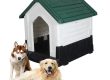 Experience versatility convertible pet kennels for every situation (5)