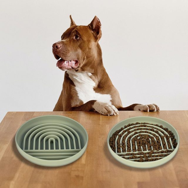 Explore our eco-friendly pet feeder collection for sustainable feeding (2) Explore our eco-friendly pet feeder collection for sustainable feeding (2)