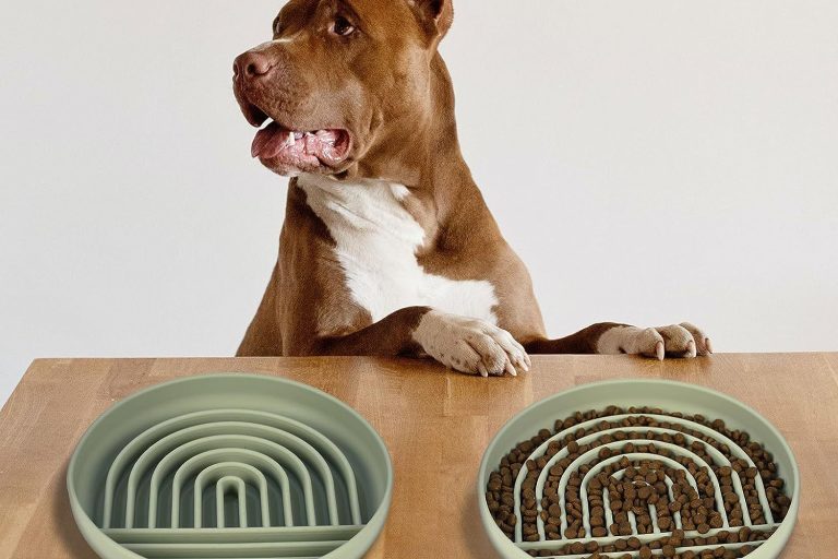 Explore our eco-friendly pet feeder collection for sustainable feeding (2)
