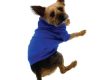 Fashionable and functional pet clothes designed for comfort and durability (5)