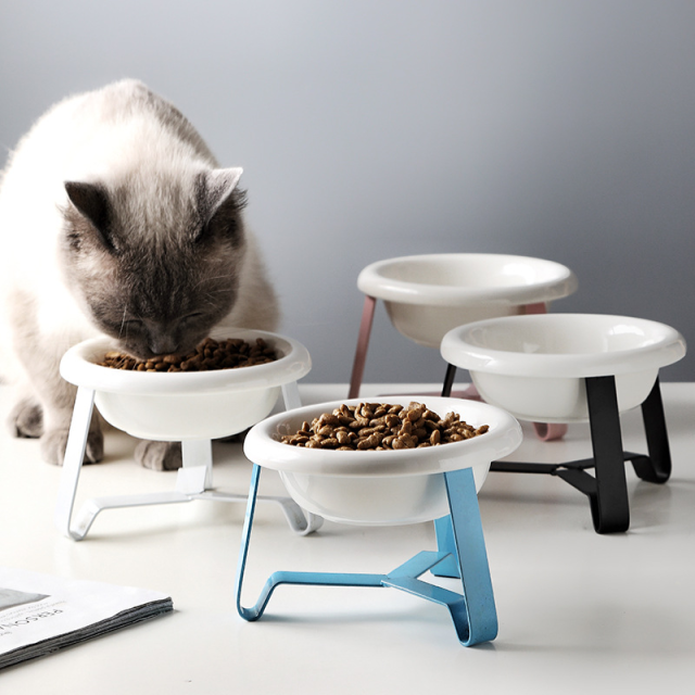 Feed with confidence vet-approved pet feeders for optimal nutrition (6) Feed with confidence vet-approved pet feeders for optimal nutrition (6)