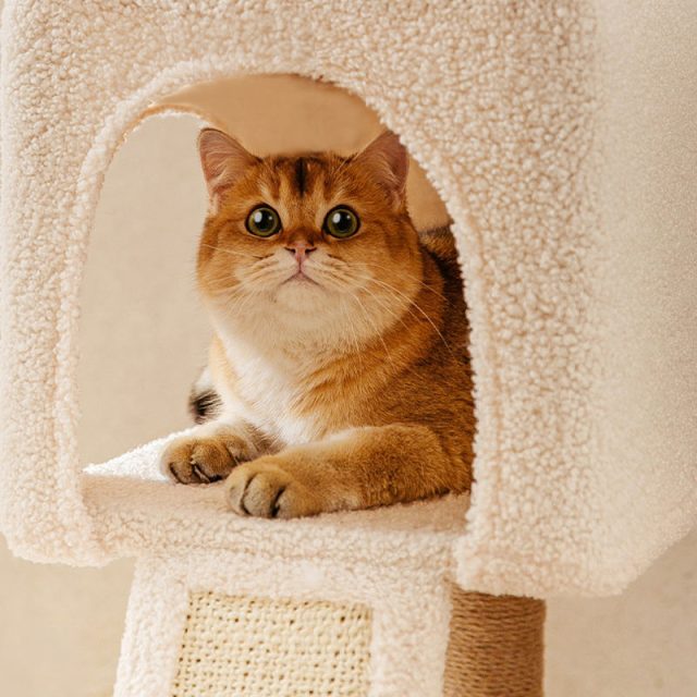 Find the ideal cat tree cozy retreats and play spaces available now (6) Find the ideal cat tree cozy retreats and play spaces available now (6)