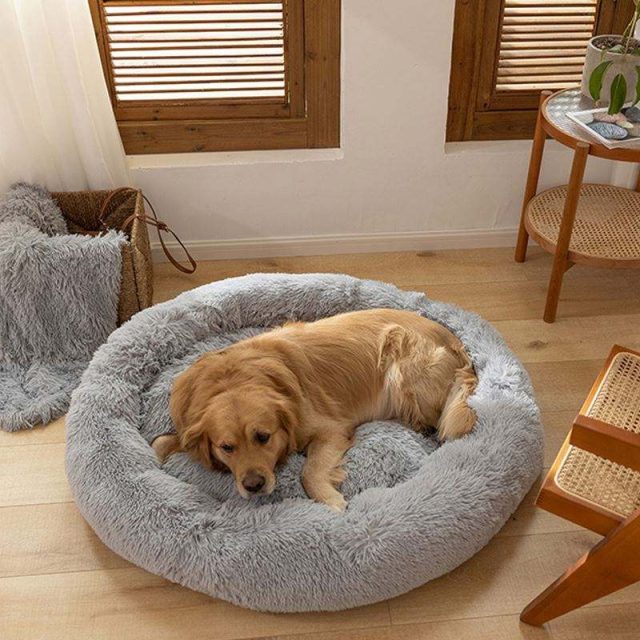 Find the ideal pet bed functional and fashionable choices available now (3) Find the ideal pet bed functional and fashionable choices available now (3)