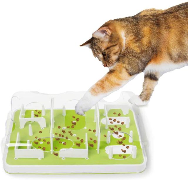 From couch potato to playful pouncer toys that get your cat moving (3)