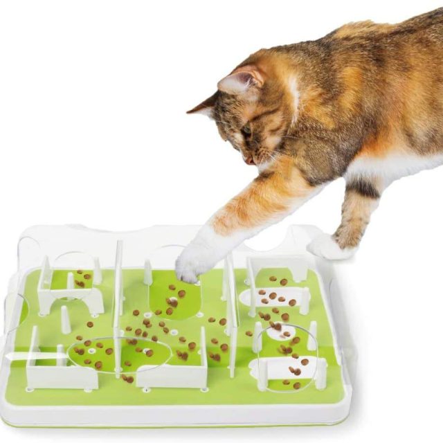 From couch potato to playful pouncer toys that get your cat moving (3) From couch potato to playful pouncer toys that get your cat moving (3)