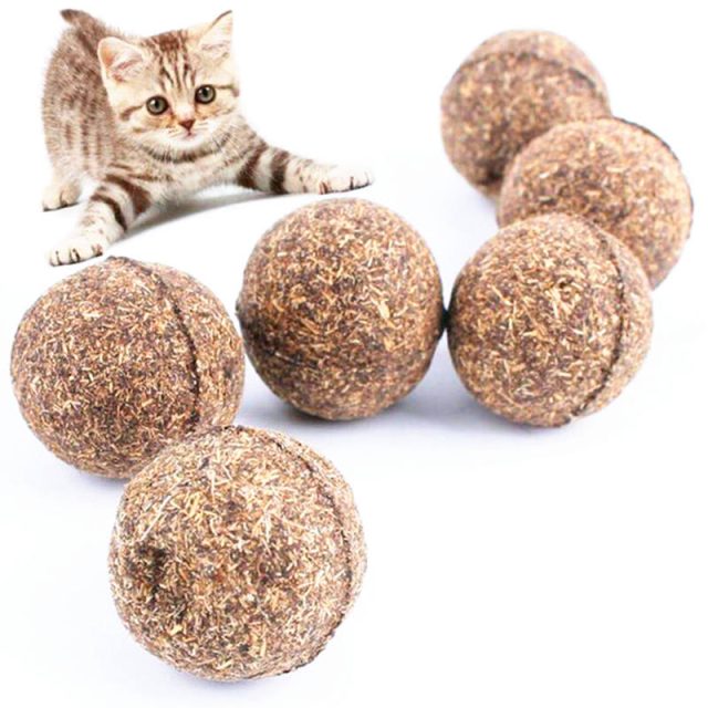 From crinkles to bells textured toys that delight your cat’s senses (6) From crinkles to bells textured toys that delight your cat's senses (6)