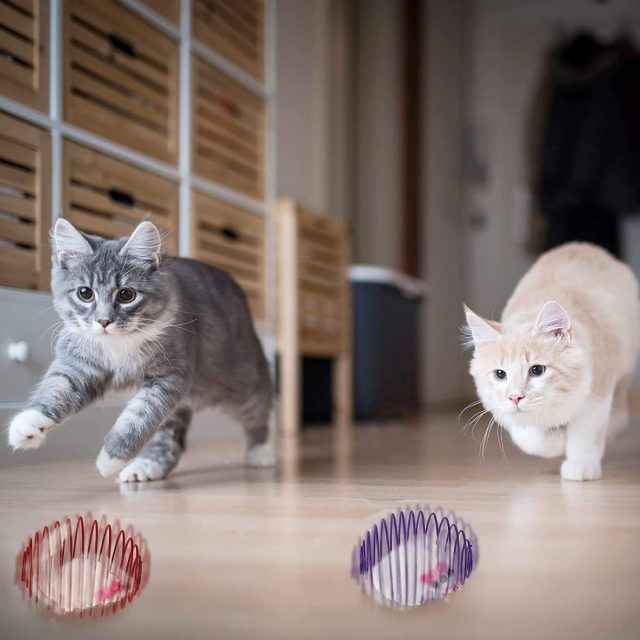 From fluffy mice to squeaky balls classic toys that never go out of style (1) From fluffy mice to squeaky balls classic toys that never go out of style (1)